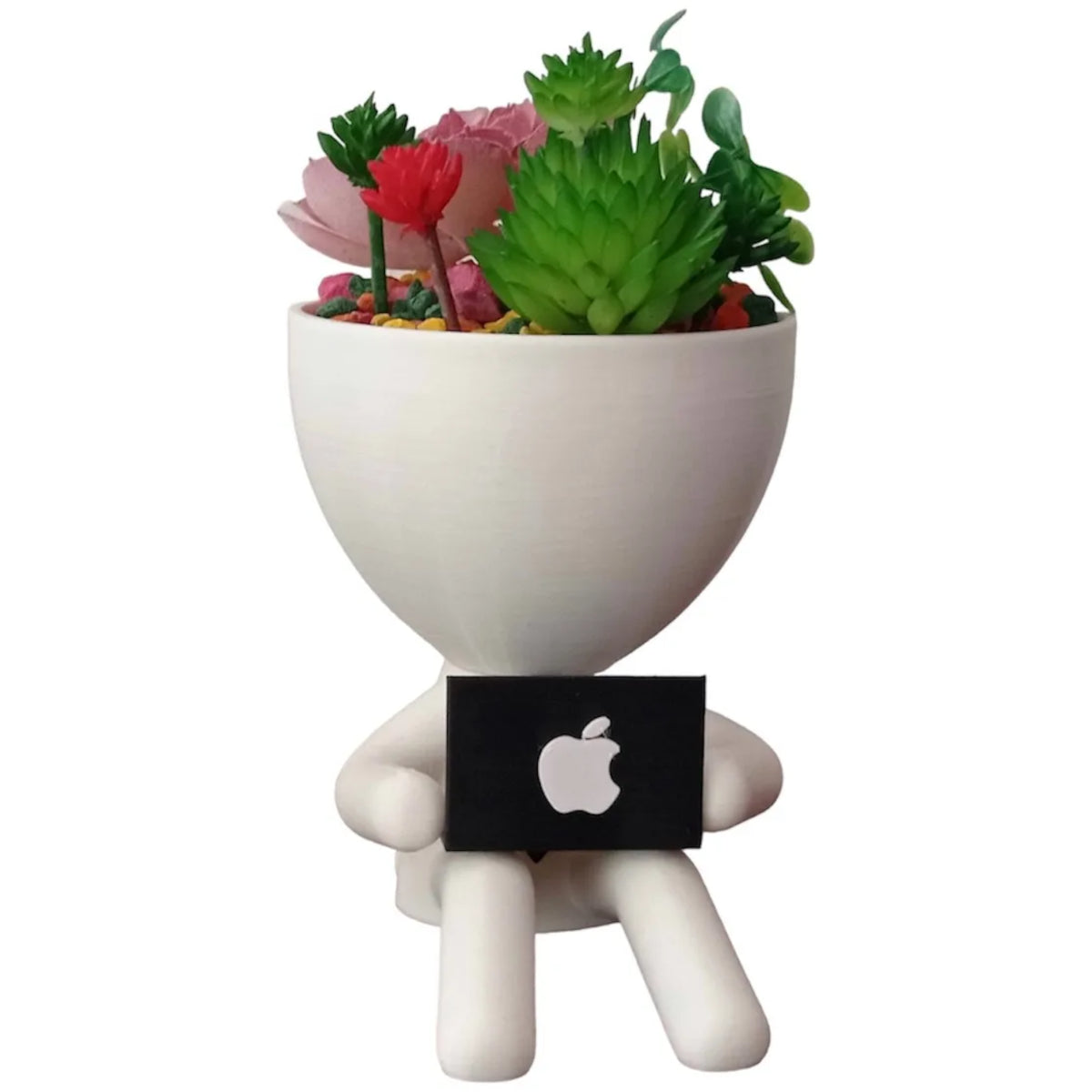 Matera Decorativa con Portatil