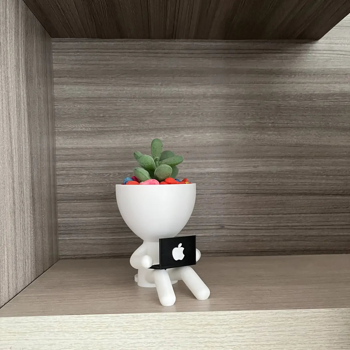 Matera Decorativa con Portatil