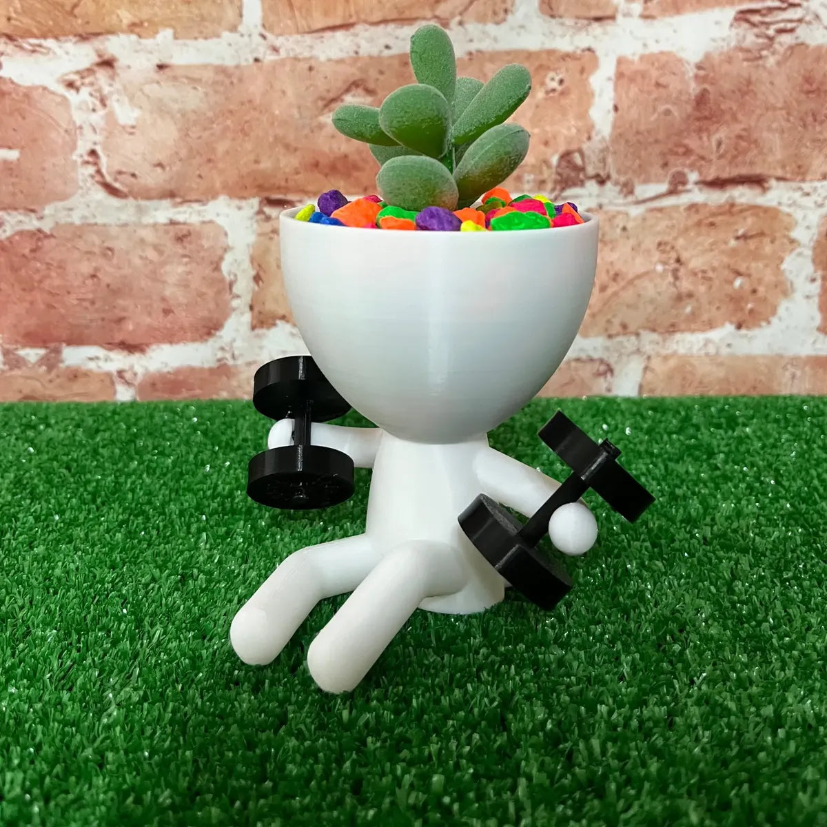 Matera Decorativa GYM