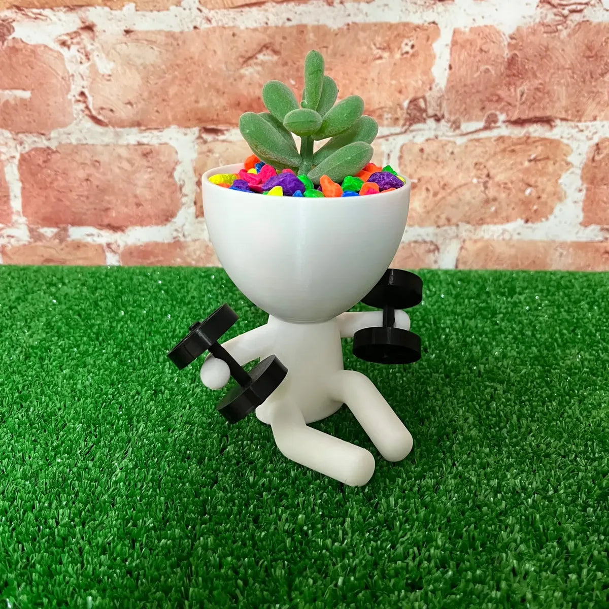 Matera Decorativa GYM